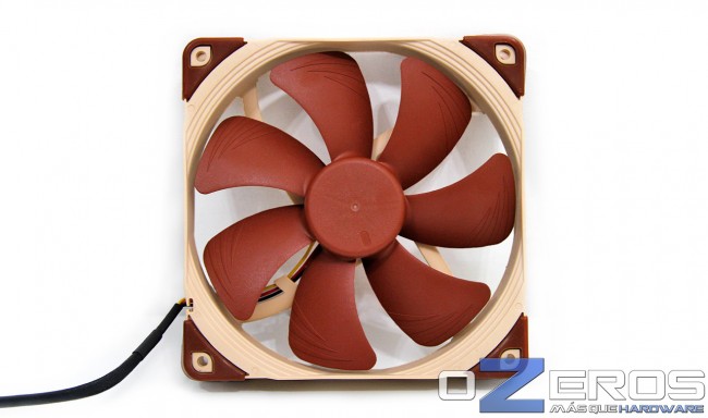 RoundUp_Noctua_Foto-21