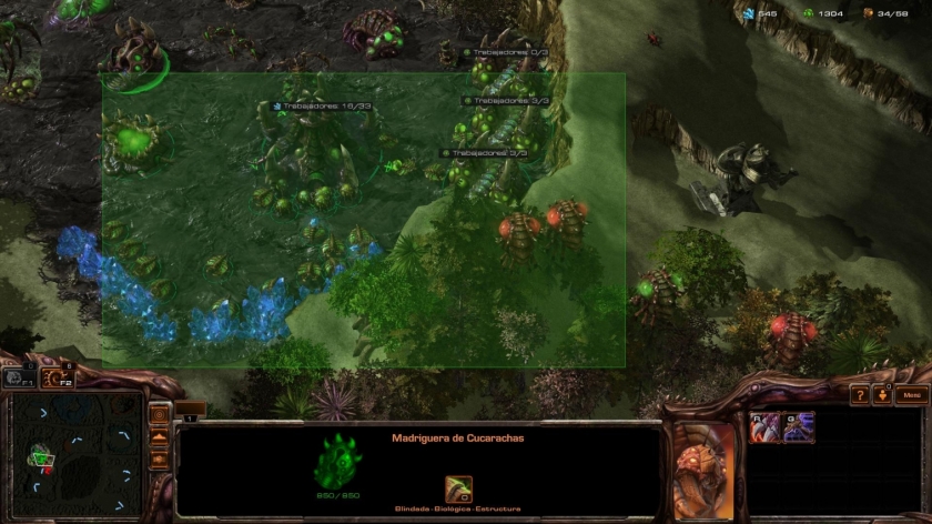 nuevo zerg