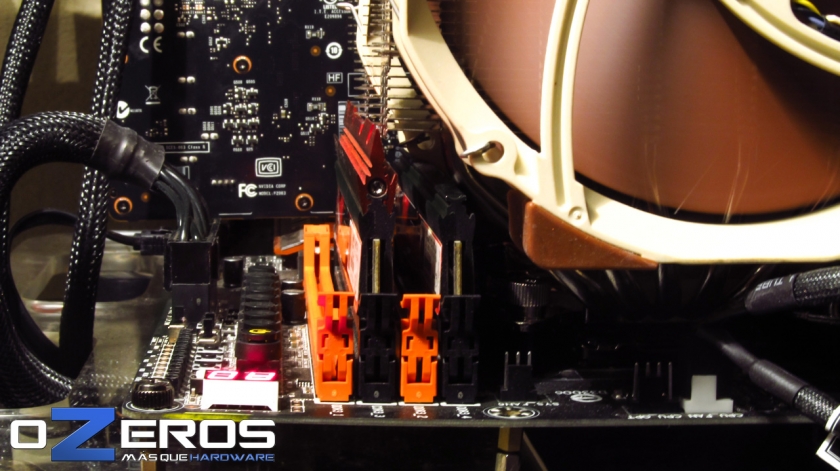 Noctua-Memorias-Problemas
