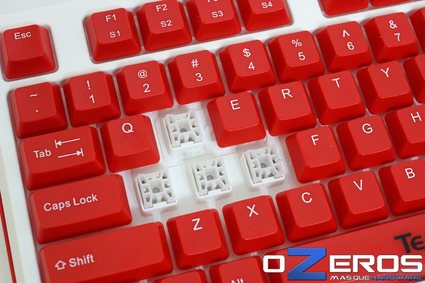 TTeSports_Team_DK_Foto-15