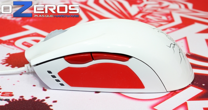 TTeSports_Team_DK_Foto-29