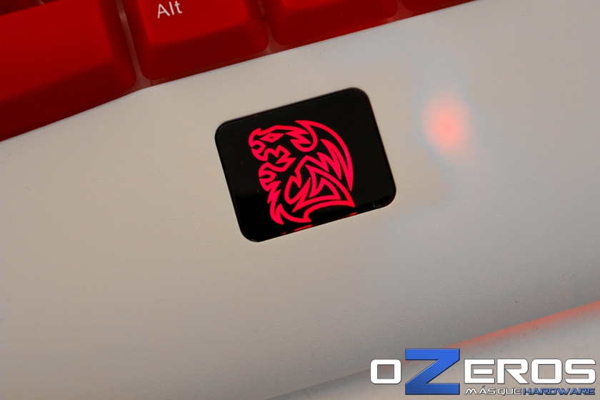 TteSports_TeamDK_Foto-10