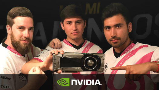 NVIDIA será el nuevo partner de Miami Flamingos